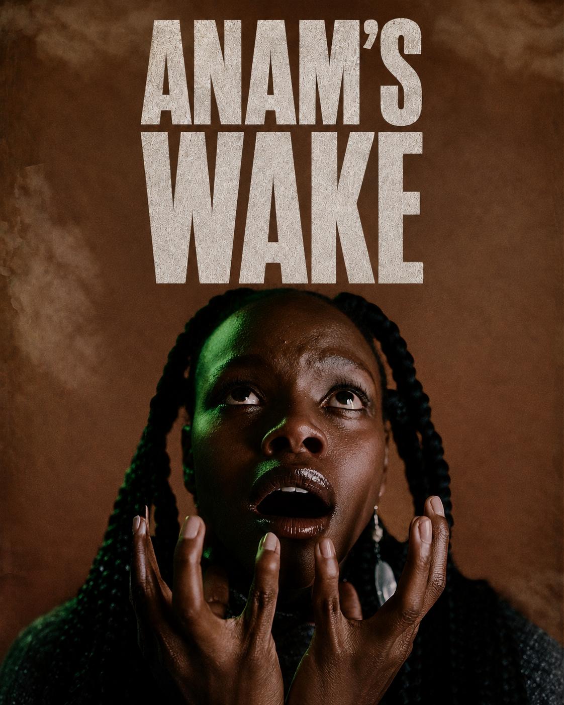 Anam's Wake 2D